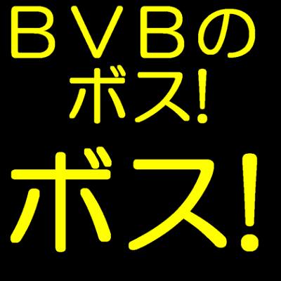 bvb-1pg.jpg